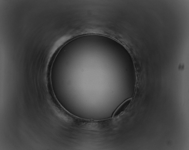 X0000091470104200708301901