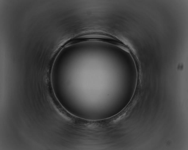 X0000091470105200708301901