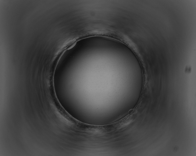 X0000091470106200708301901