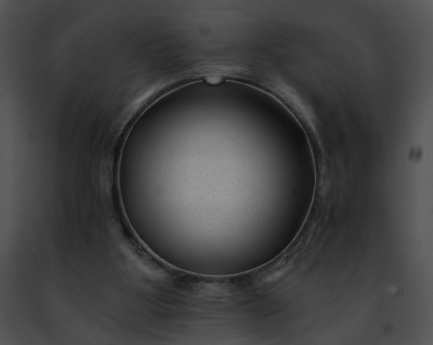 X0000091470107200708301901