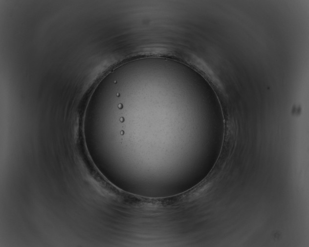 X0000091470110200708301901