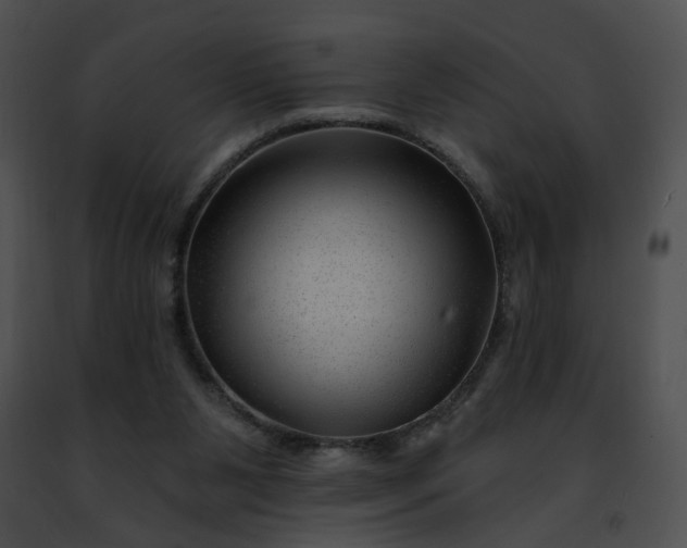 X0000091470111200708301901