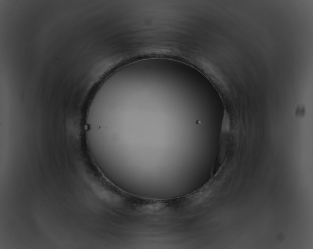 X0000091470112200708301901