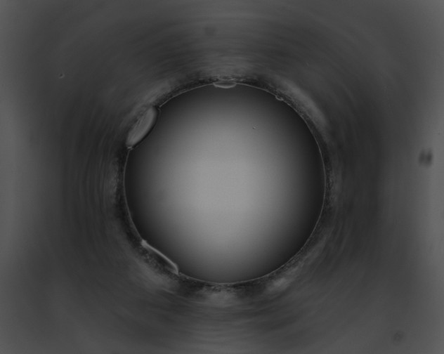 X0000091470113200708301901