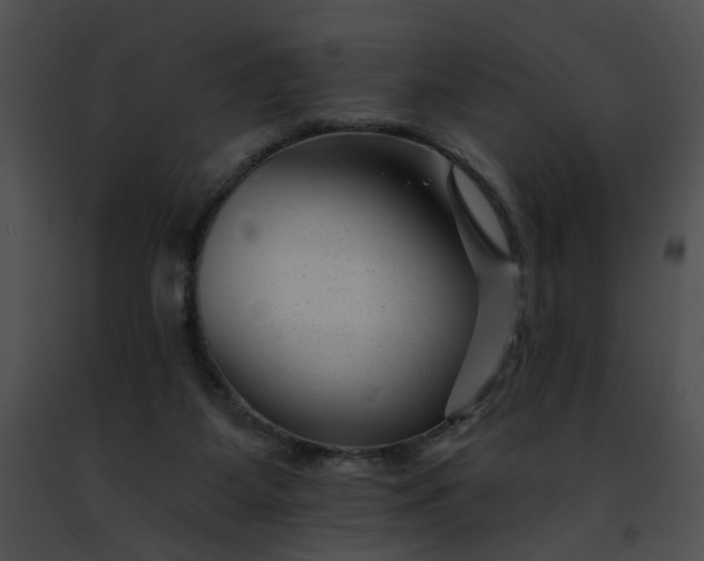 X0000091470115200708301901