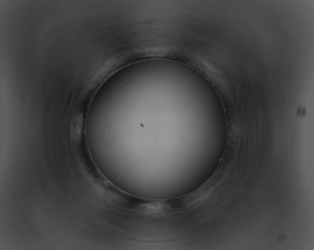 X0000091470118200708301901