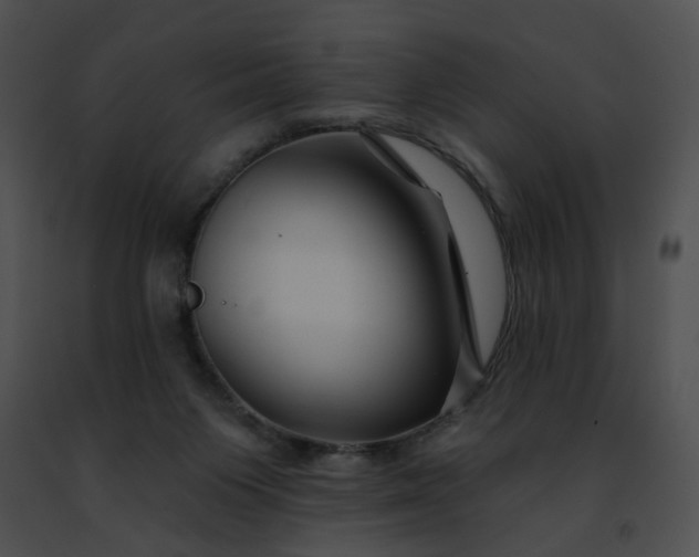 X0000091470119200708301901