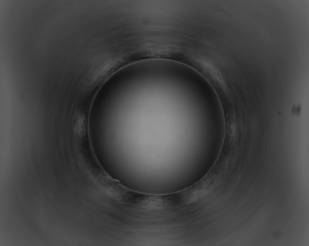 X0000091470123200708301901