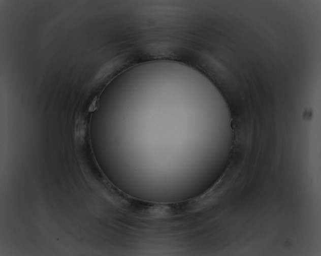 X0000091470124200708301901