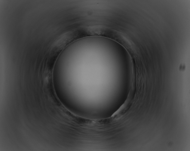 X0000091470125200708301901