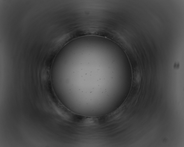 X0000091470126200708301901