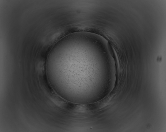 X0000091470127200708301901