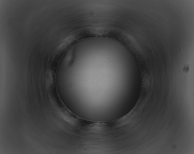 X0000091470128200708301901