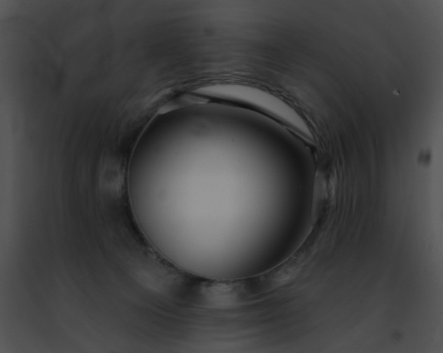 X0000091470129200708301901