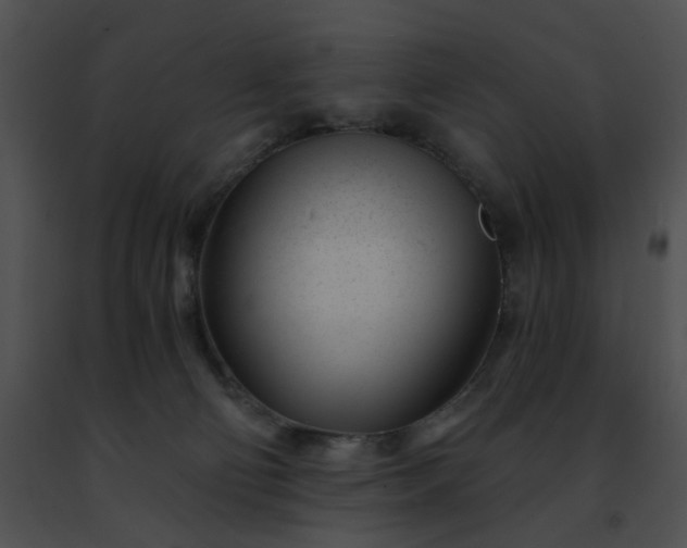 X0000091470130200708301901