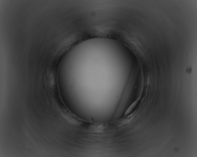 X0000091470131200708301901