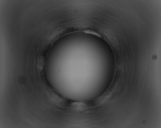 X0000091470133200708301901