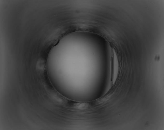 X0000091470135200708301901