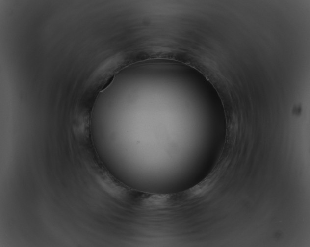 X0000091470138200708301901