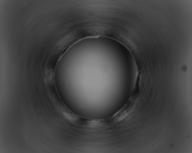 X0000091470141200708301901