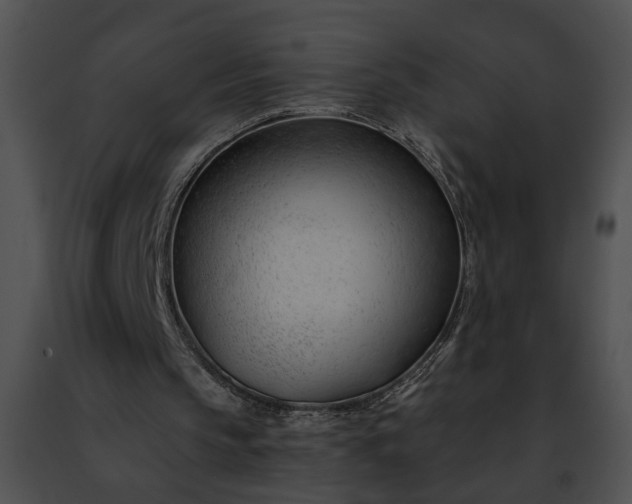 X0000091470145200708301900