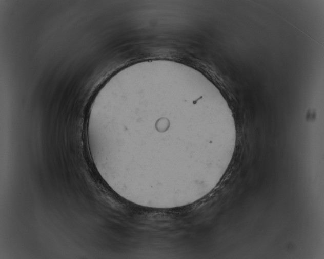 X0000091470146200708301900