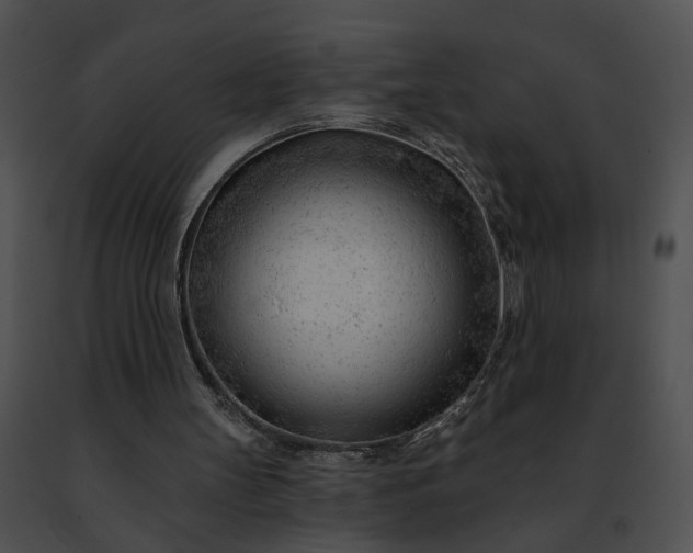 X0000091470147200708301900