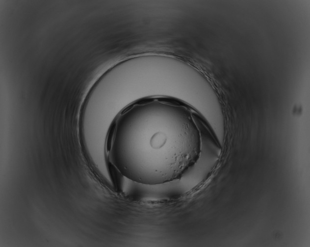 X0000091470148200708301900