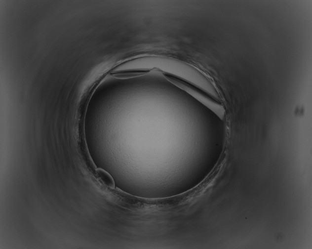 X0000091470149200708301900