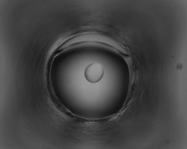 X0000091470150200708301900