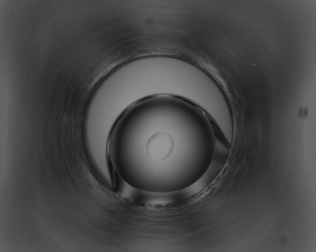 X0000091470154200708301900