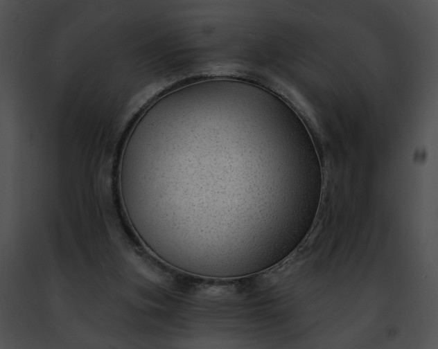 X0000091470155200708301900