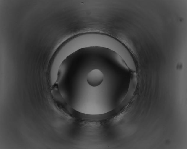 X0000091470156200708301900