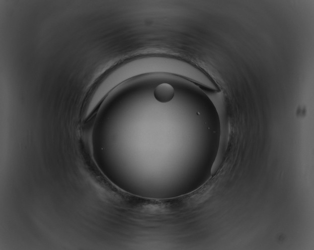 X0000091470160200708301900