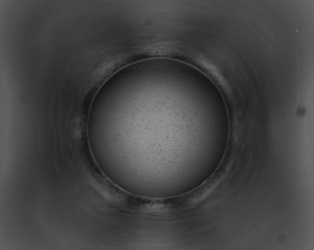 X0000091470161200708301900