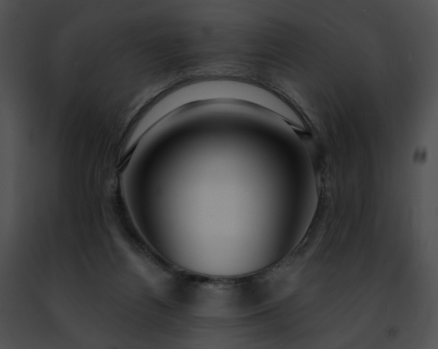 X0000091470164200708301900