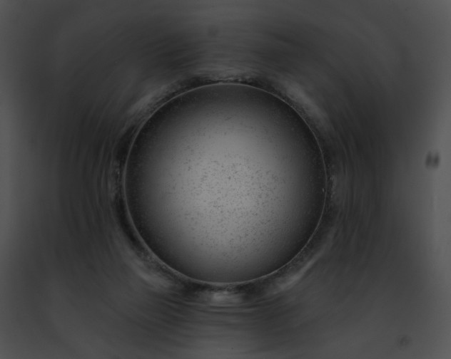 X0000091470165200708301900