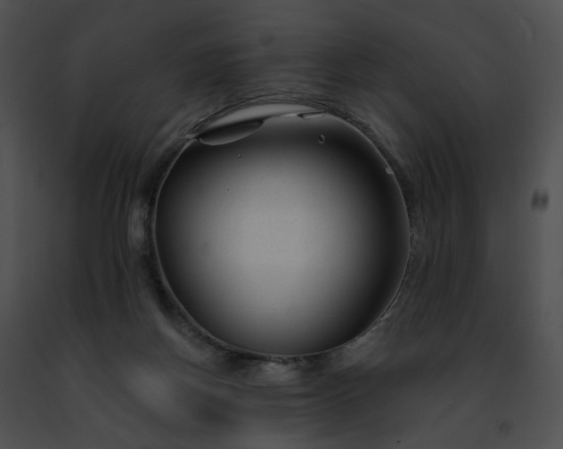 X0000091470166200708301900