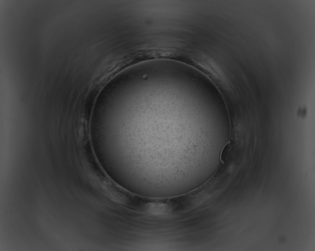 X0000091470169200708301900