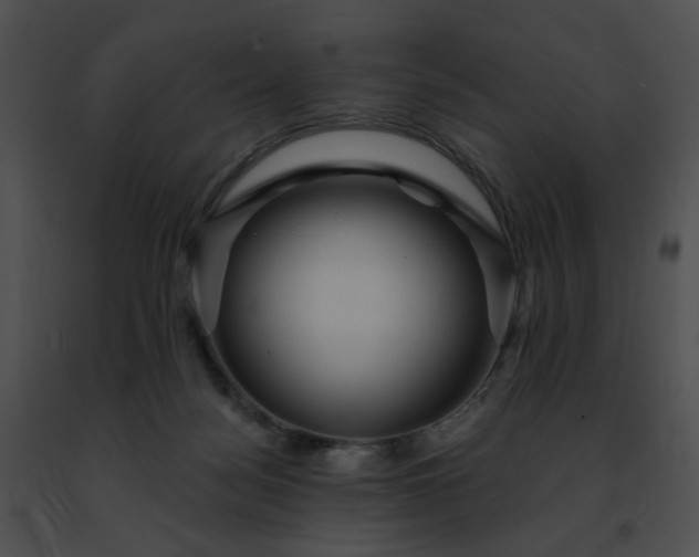 X0000091470172200708301900