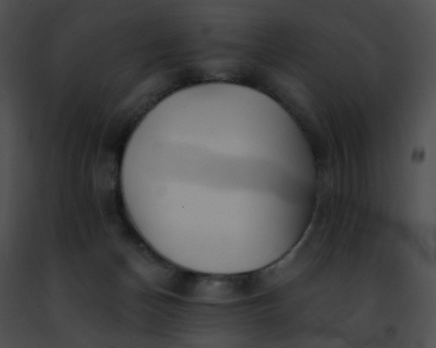 X0000091470174200708301900