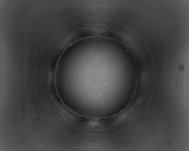 X0000091470177200708301901