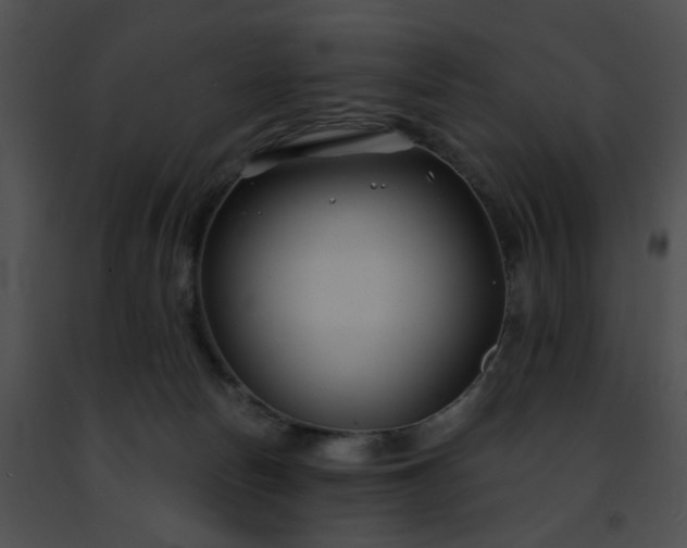 X0000091470178200708301901