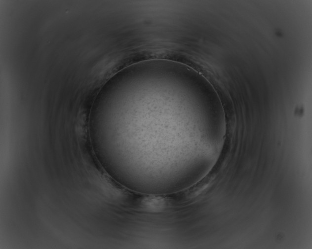 X0000091470181200708301901