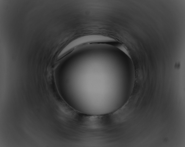 X0000091470184200708301901