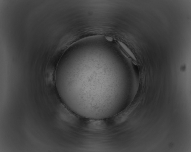 X0000091470185200708301901