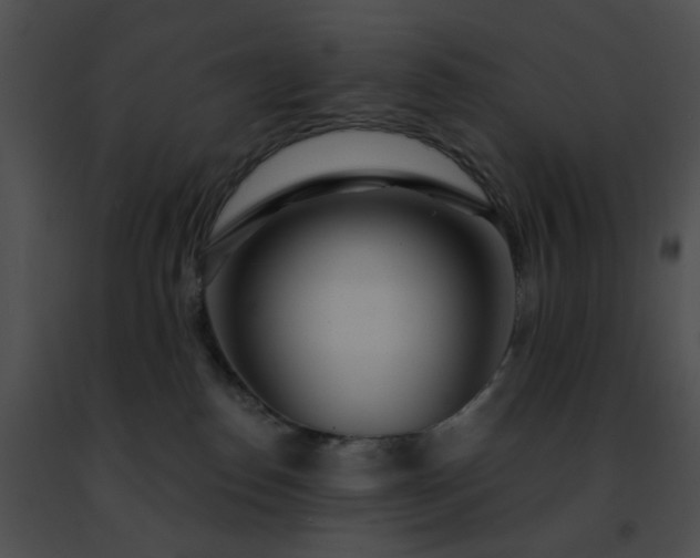 X0000091470186200708301901