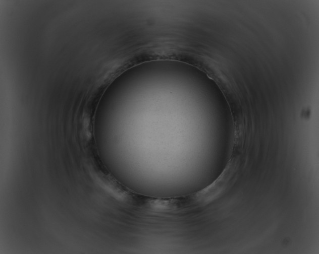 X0000091470187200708301901