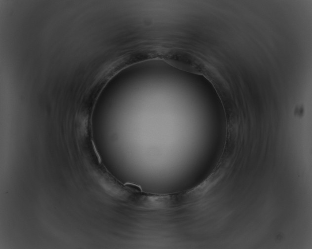 X0000091470188200708301901