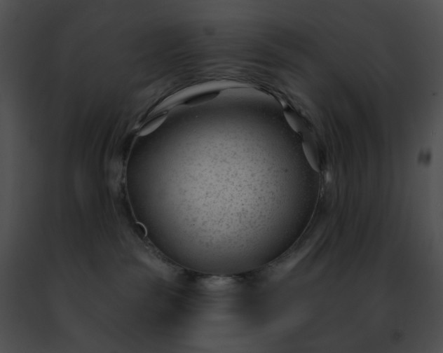 X0000091470189200708301901